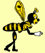 bee
