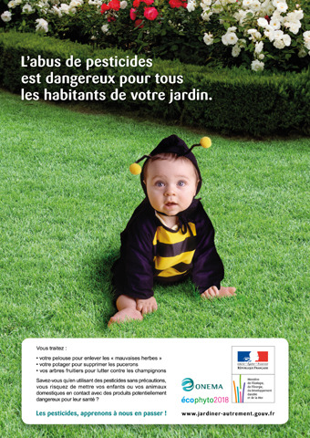 petiteabeille