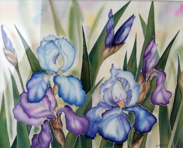 iris
