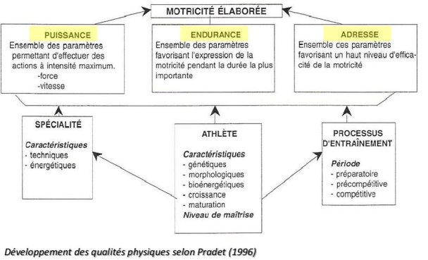 QualitéPhysique