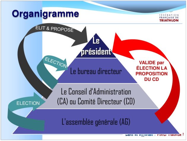 organigramme